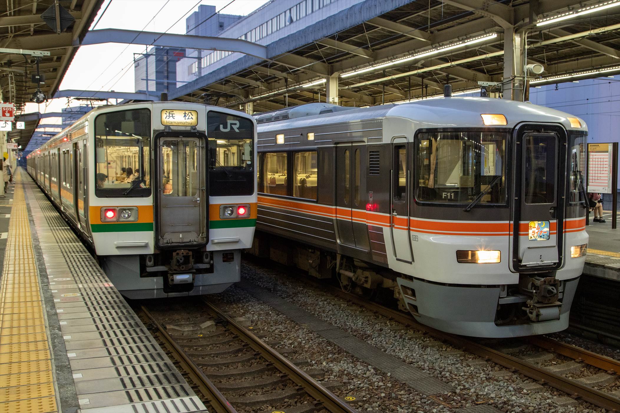 JR東海 373系 「(ワイドビュー)ふじかわ」・「(ワイドビュー)伊那路