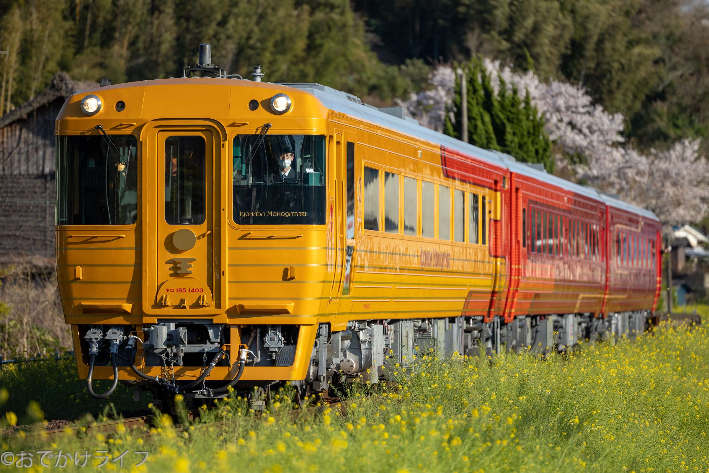 JR四国 観光列車 2代目「伊予灘ものがたり」キハ185系1400番台 2022年
