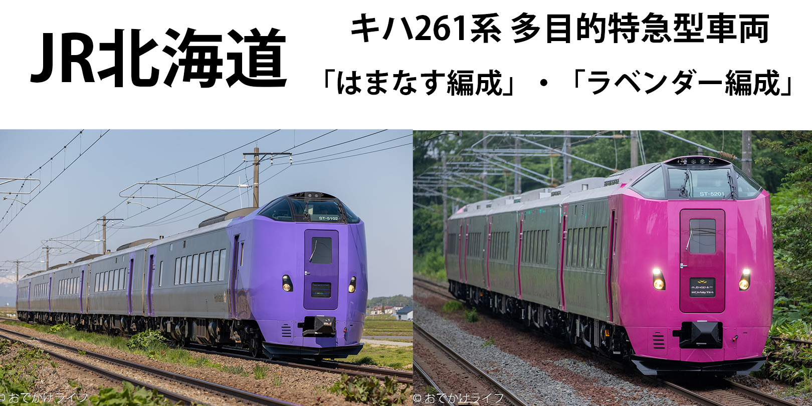 Jr北海道 キハ261系5000番台 多目的特急型車両 はまなす編成 ラベンダー編成 おでかけライフ