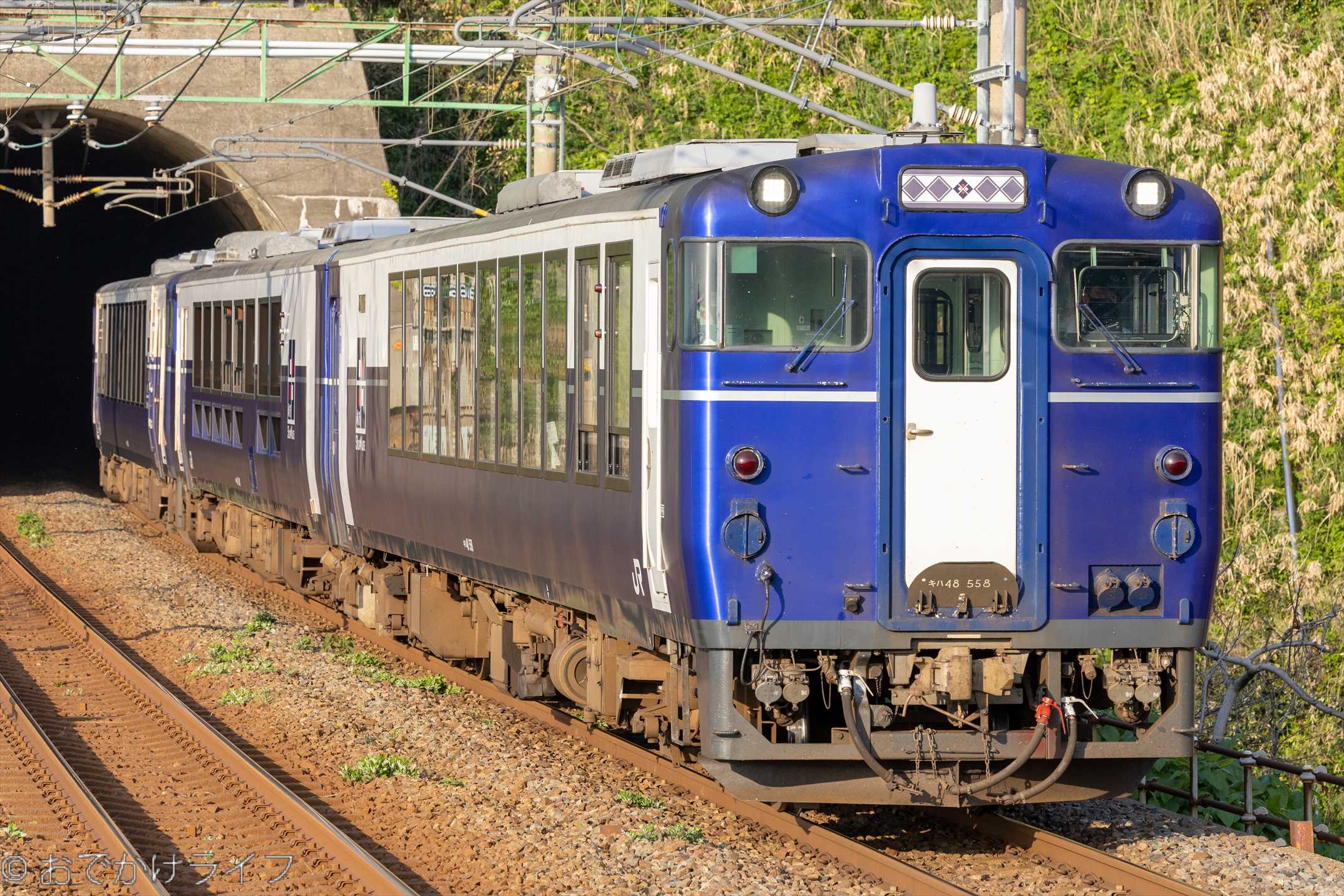 JR東日本 「越乃＊Shukura」 キハ40形・キハ48形 車内・座席
