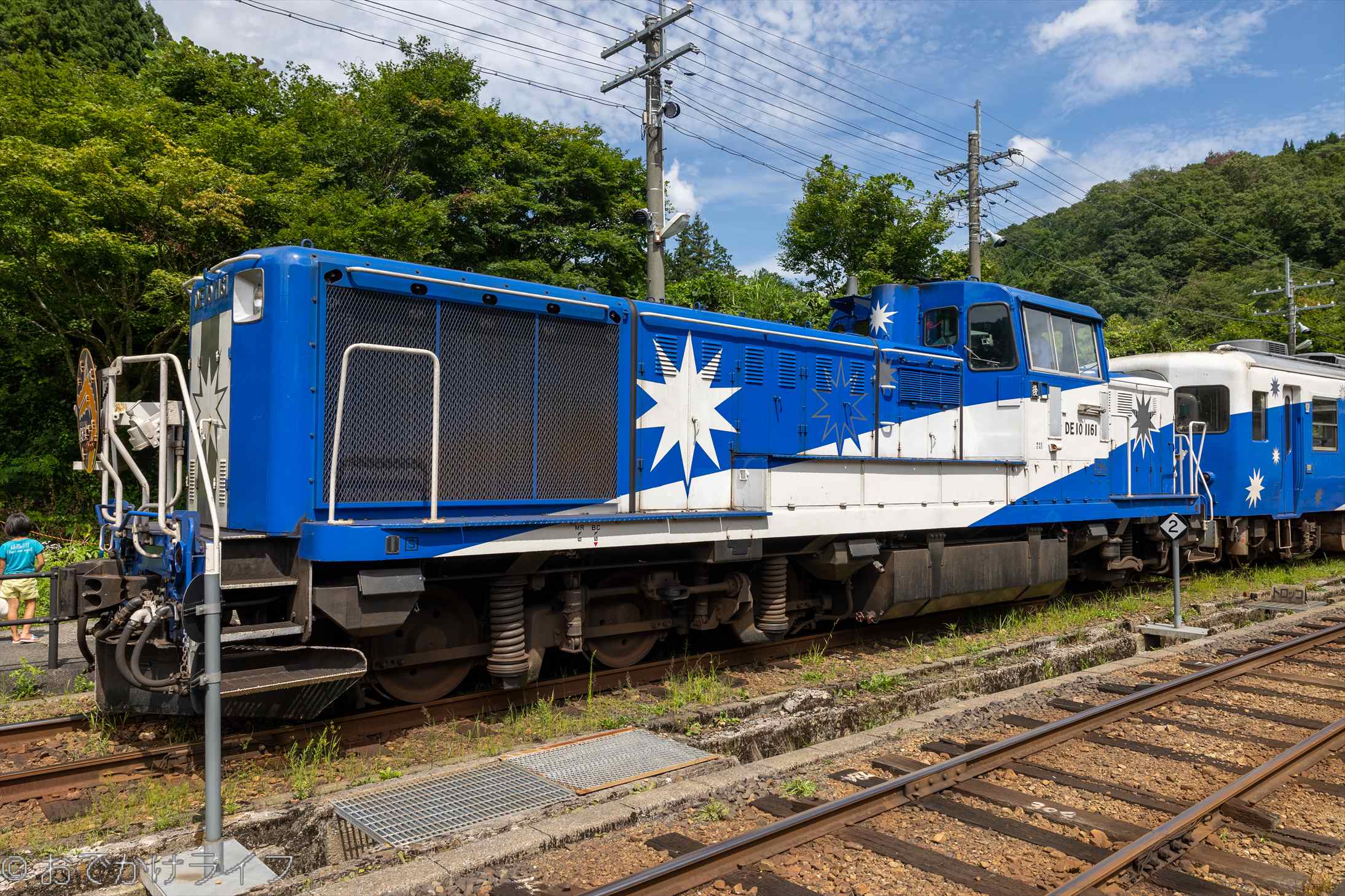 JR西日本 木次線観光列車 「奥出雲おろち」 DE10+12系800番台