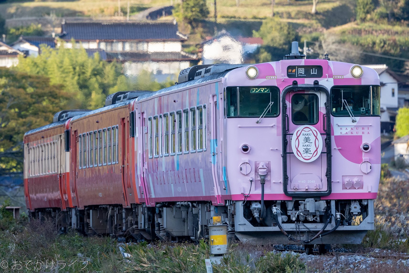 JR西日本 津山線観光列車 「SAKU美SAKU楽」 (さくびさくら