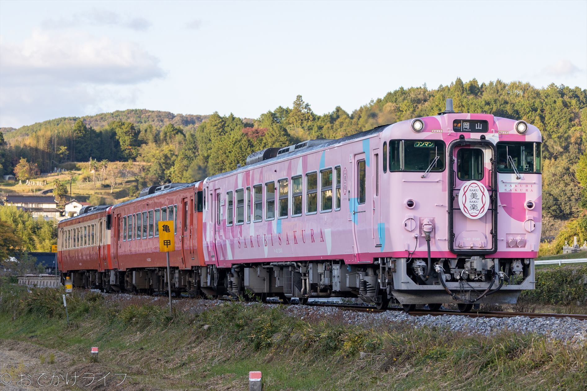 JR西日本 津山線観光列車 「SAKU美SAKU楽」 (さくびさくら)」 キハ40形