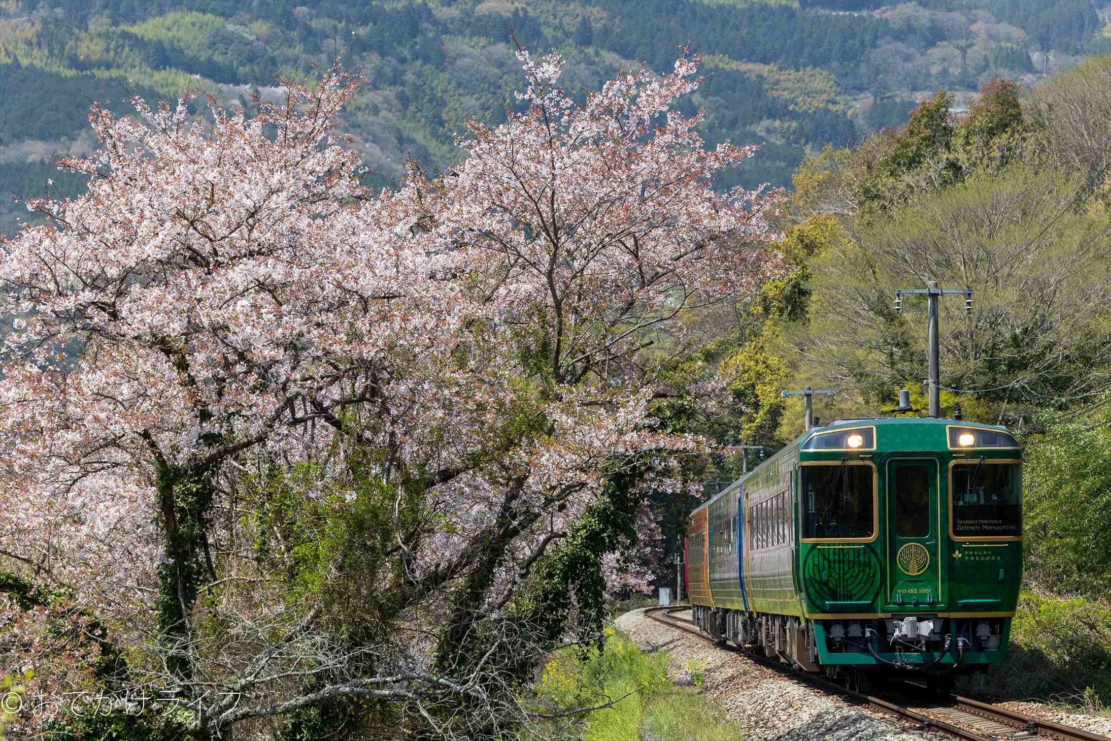 楽天市場】【ふるさと納税】鉄道模型 若桜鉄道WT3000形2両セット