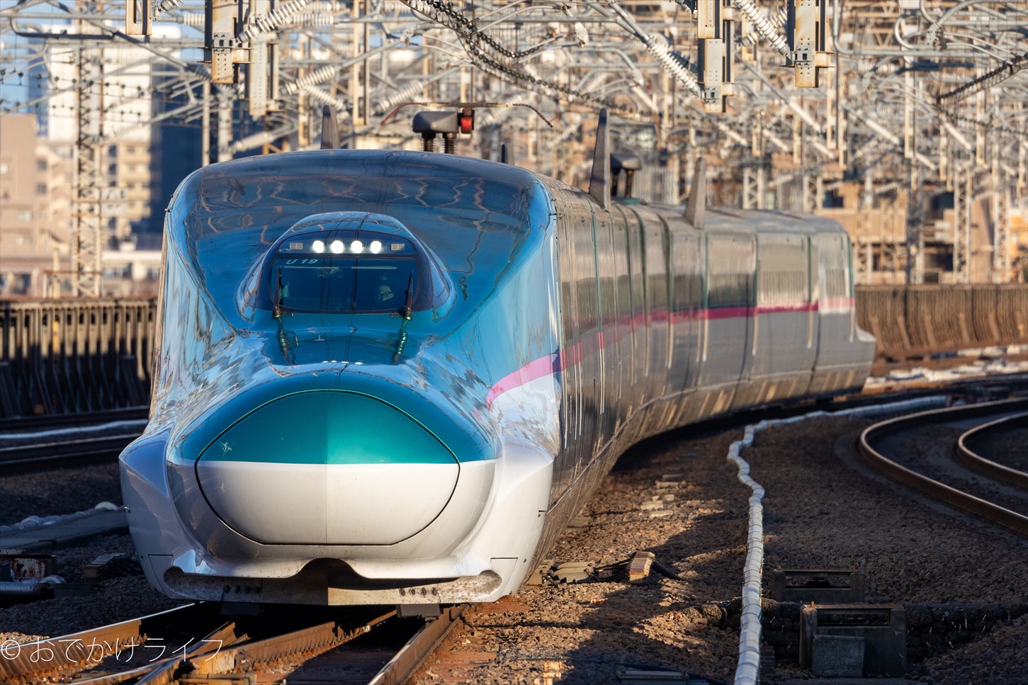 JR東日本 E5系  はやぶさ デビュー記念suica Amazon | 限定品 JR東日本 E5系 はやぶさ デビュー 記念 suica