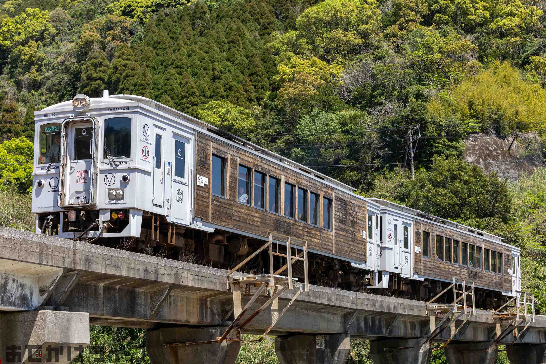 jrkyushu_umisachiyamasachi_003.jpg